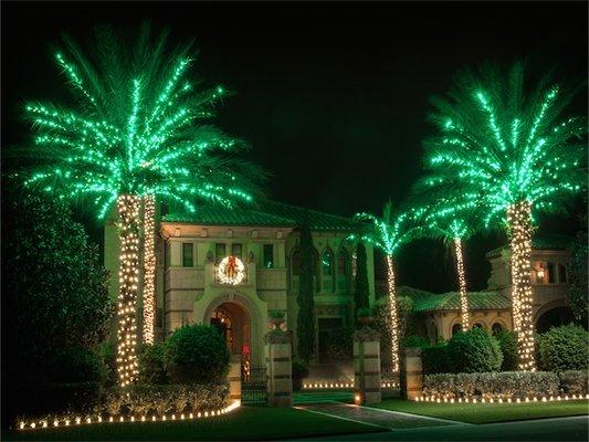 Holiday Lighting