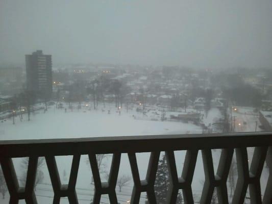 First blizzard of 2014 (January 2-3)