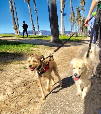 Rizzo and Whitney on the boardwalk