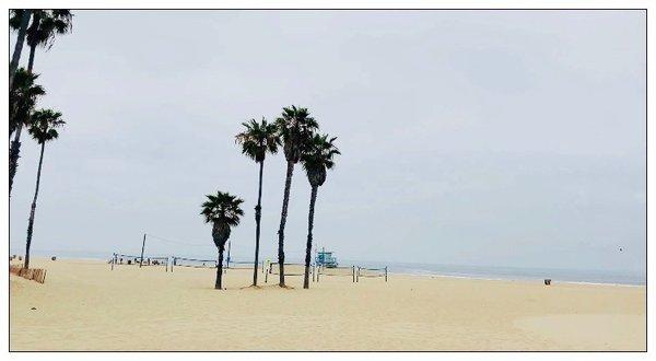 Welcome to Ocean Park Beach Volleyball Courts.