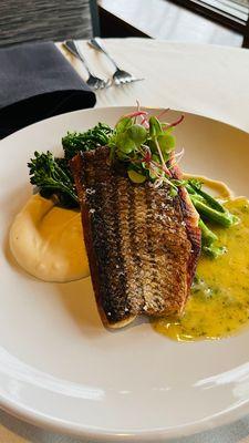 Striped sea bass