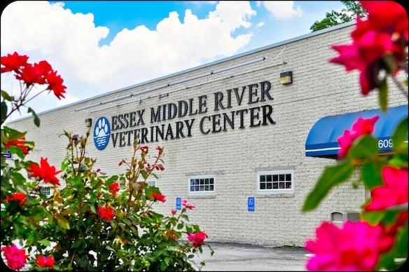 Essex Middle River Veterinary Center