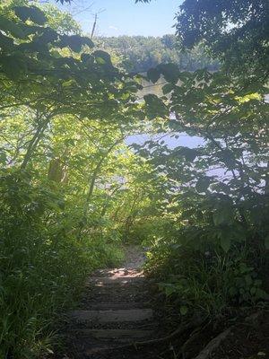 Steep path down to the river