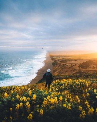 "California is hands down the most magnificent place I have been."  -Jason Tumulak at Point Reyes