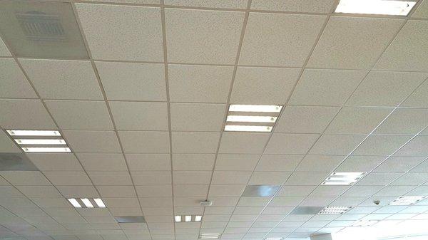 Acoustical Ceiling