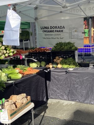 Luna Dorada at the Clement Street Farmers Market