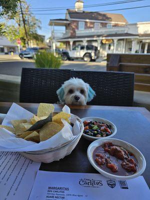 Puppy friendly (outside seating)