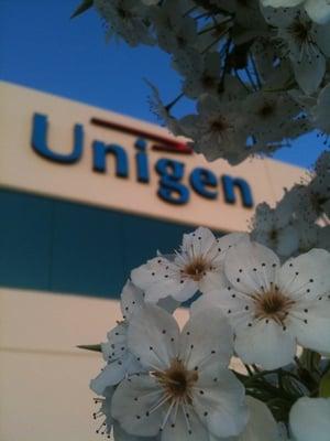 Unigen