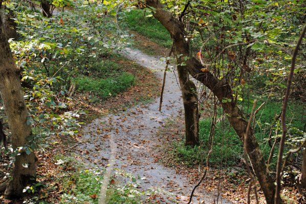 Meandering paths are very photogenic