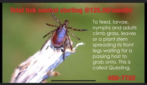 Keep your property tick fee with scheduled tick treatments and get the most out of your yard.