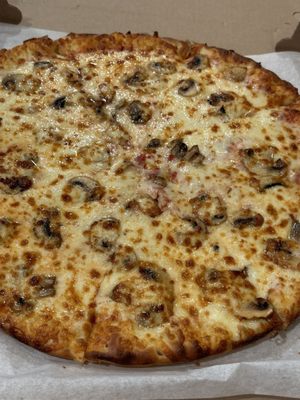 Mushroom and extra cheese pizza