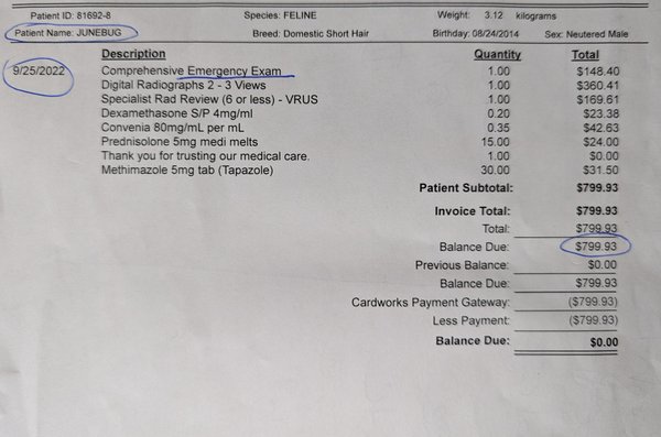 ER vet bill from exam on 9/25/22 (after Dr. May's incompetent exam and outrageous bill)