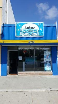 Lotus Aquarium