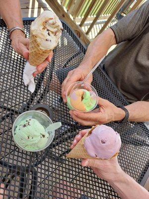 Mint chocolate chip, black raspberry,  tutti frutti, and caramel swirl with chocolate covered pretzels