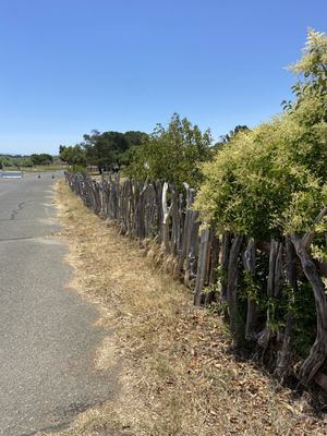 Sandy Beach Park