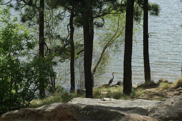 Morphy Lake State Park