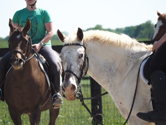 Ashlynne Farm