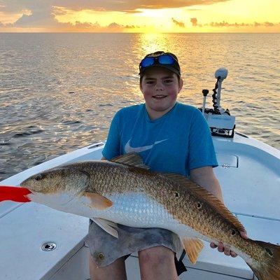 Giant redfish