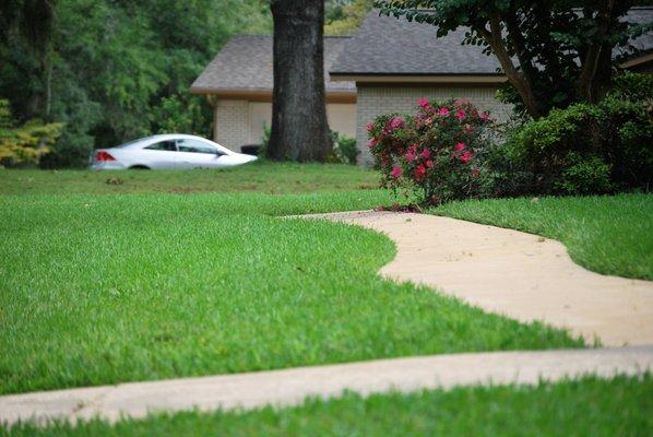 Tallahassee lawn care