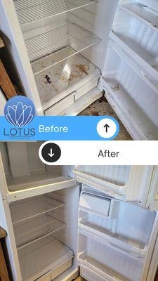 Lotus Cleaning Services