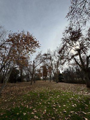 Fairway of hole 17