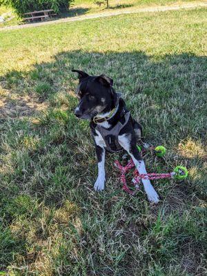 Another day at the park