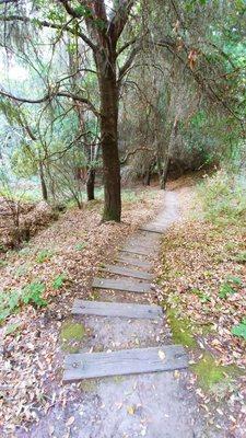 There are several hikes surrounding the retreat center.