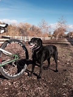 Bike path run. She loves to run.