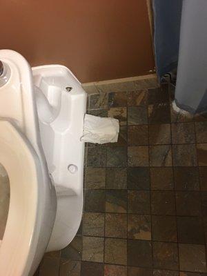 Tissue not Even from Me Balled up and Left on the Bathroom floor