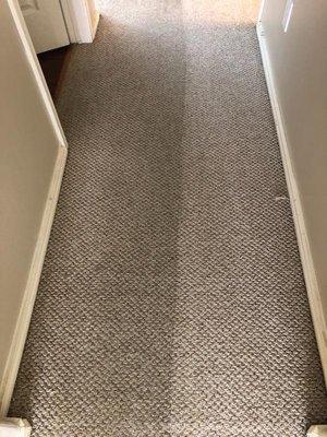 Carpet Cleaning (Before/After)