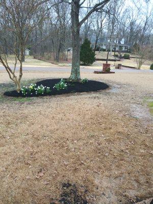 fresh mulch