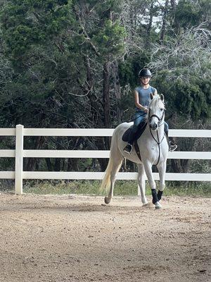 Silver Fox Farms