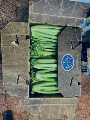 Box of celery