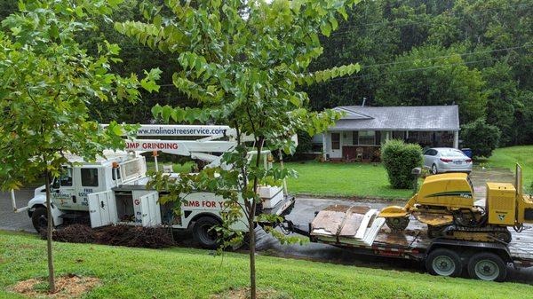 Molina's Tree Service And Landscaping