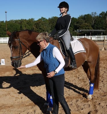 Susan Stedman Equestrian Training