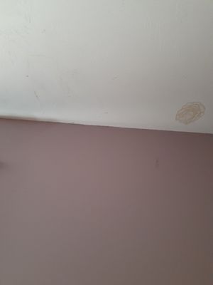 Damage to ceiling