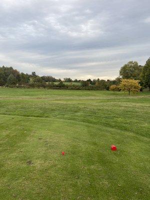 I believe this is hole 9.   View from the ladies red tee  I cleared the brush. But it went right and I lost it