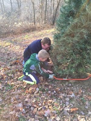 Bailey Family Christmas Trees