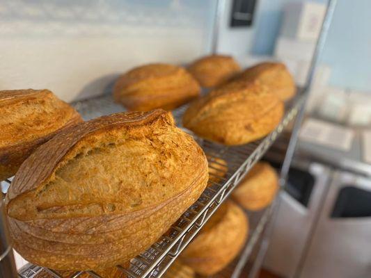 Bike Stop Bakery