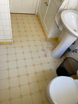 Clean bathroom floor