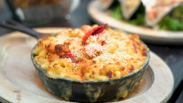 Lobster Mac & cheese - so good !