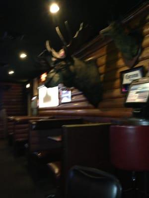 The Moose