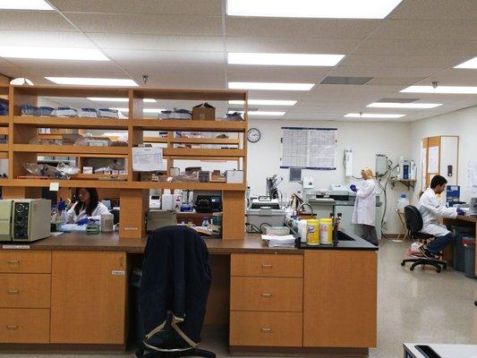 UBRL Laboratory from the inside.