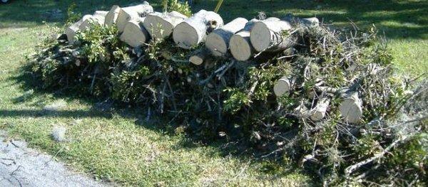 Yard waste & landscaping debris removal