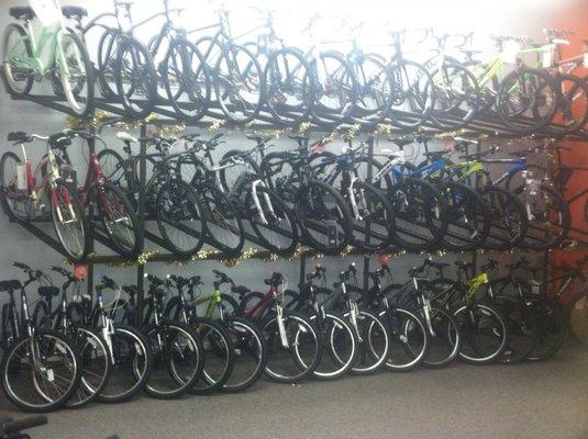 Over 300 bikes in stock.