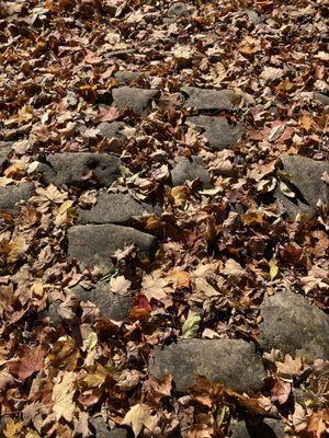 Old Bardstown Pioneer Cemetery