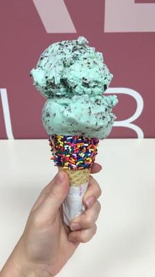 Double scoop mint chocolate chip