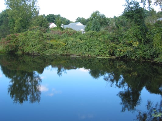 Country Walk is tucked away in the Hartford County town of Windsor, Ct. and features 60 luxury duplex/townhome rentals.