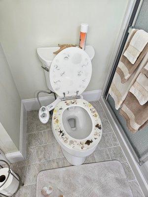 New bidet and toilet seat.