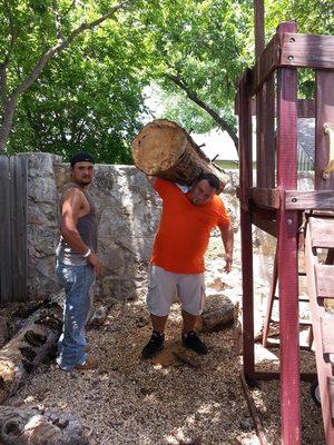 Myself hauling off what's left of a pecan tree